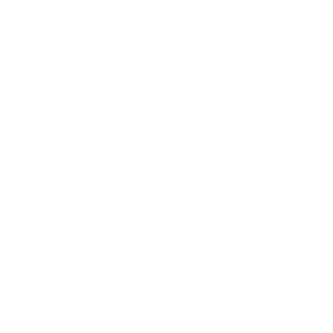 FIA Formula 3 Championship logo.