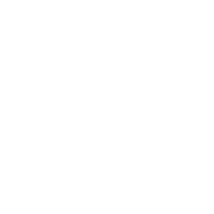 Premier League logo: white crowned lion's head and "Premier League" text.