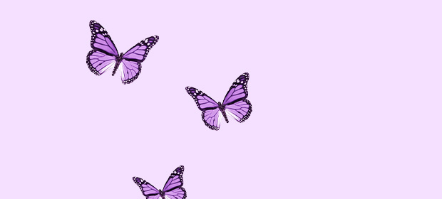 Lilla sommerfugler på lys lilla bakgrunn